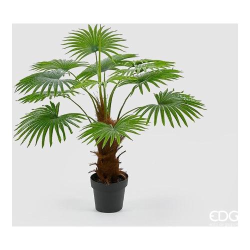 Edg Pianta artificiale Palma camerus vaso 232127 700 (100 cm)