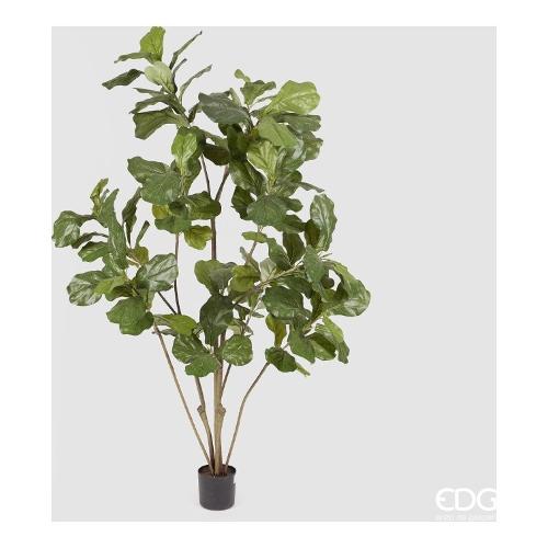Edg Pianta artificiale Ficus lyrata green vaso 238799 70 (152 cm)