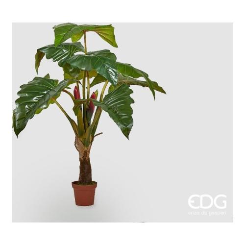 Edg Pianta artificiale Alocasia green vaso 231387 70 (160 cm)