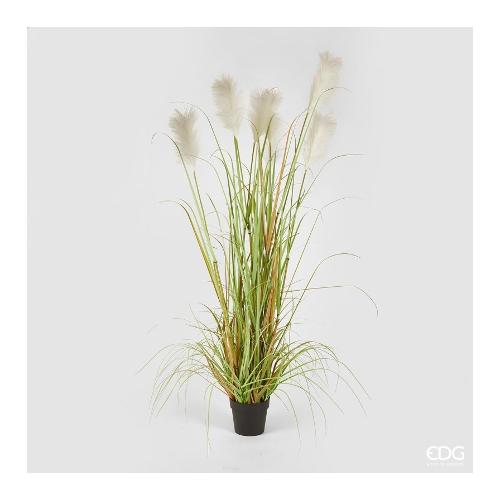 Edg Pianta artificiale Pampas 232707 12 (183 cm)