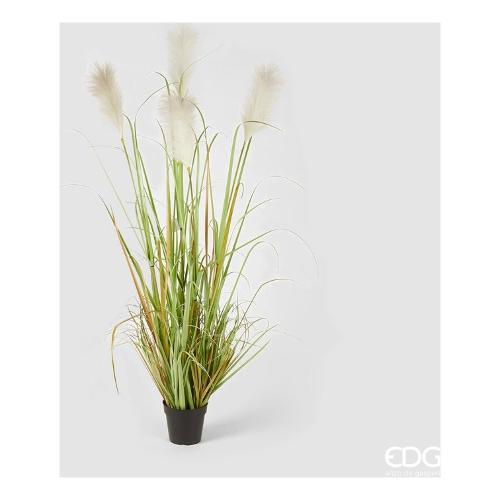 Edg Pianta artificiale Pampas 232706 12 (152 cm)