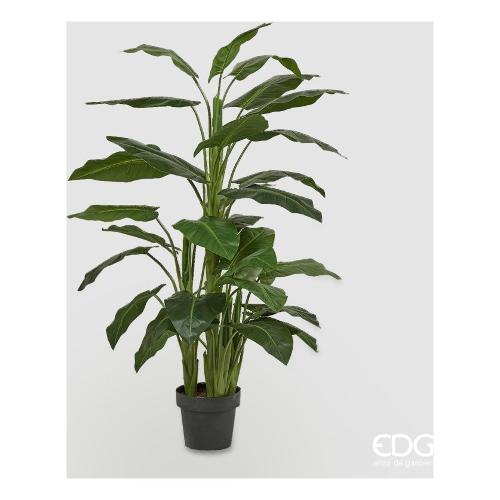 Edg Pianta artificiale Calla green vaso 231031 700 (145 cm)