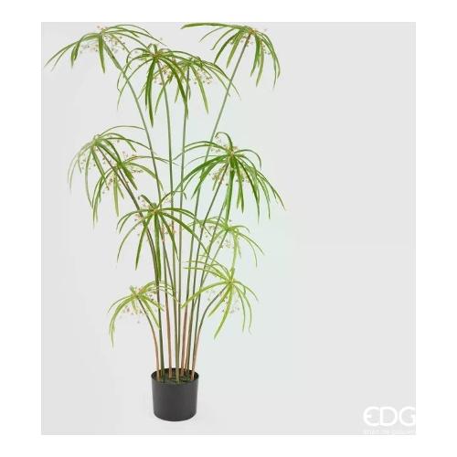 Edg Pianta artificiale Papiro west green vaso 233052 70 (120 cm)