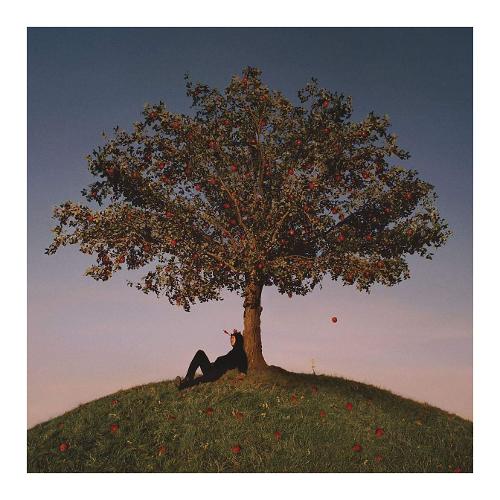 Audio CD Tyron - Slowthai 602435412436