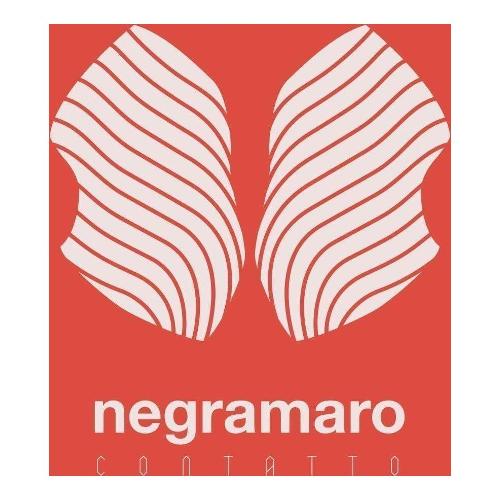 Audio Vinile N20 Contatto - Negramaro 805948226101