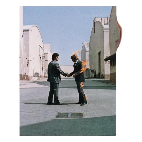 Audio CD Pink Floyd "Wish You Were Here" Cd -