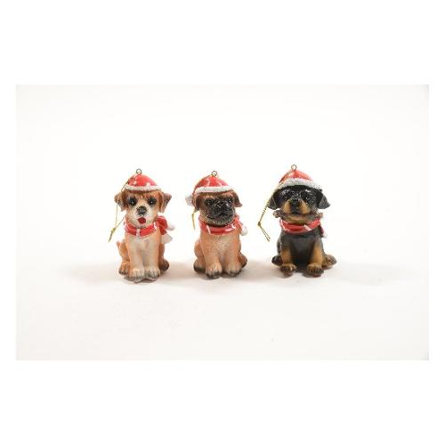 Mercury Cagnolino (7x9,5cm) Assortito 25030