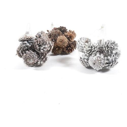 Mercury Pigne Assortito 79224