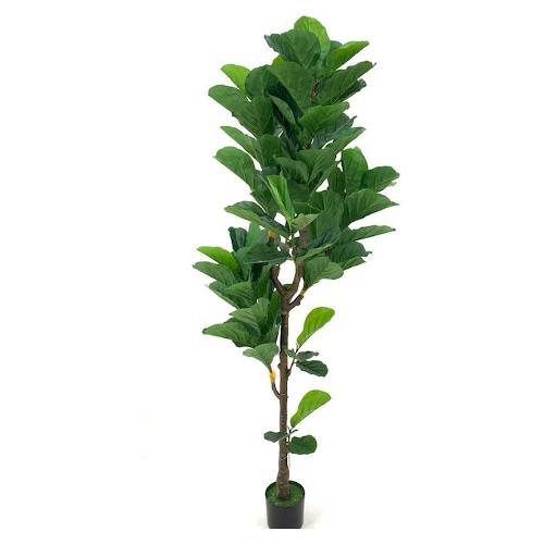 Dhg D.O.O. Pianta artificiale Ficus pandurata green 33499 (200 cm)