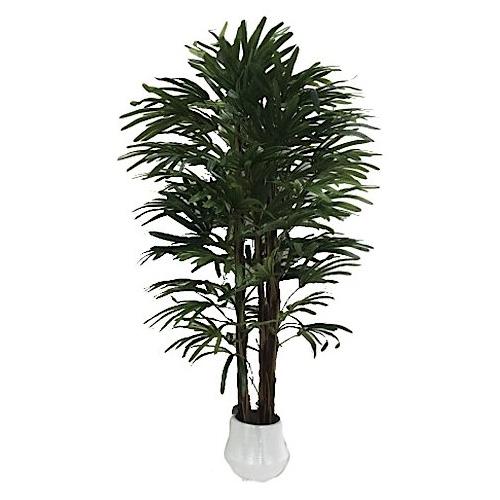 Dhg D.O.O. Pianta artificiale Palma fan green 58944 (170 cm)