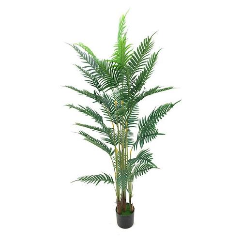 Dhg D.O.O. Pianta artificiale Areca green 33505 (160 cm)