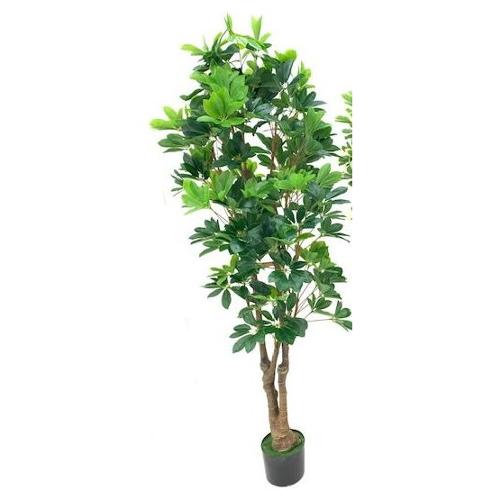Dhg D.O.O. Pianta artificiale Scheflera green 33706 (165 cm)