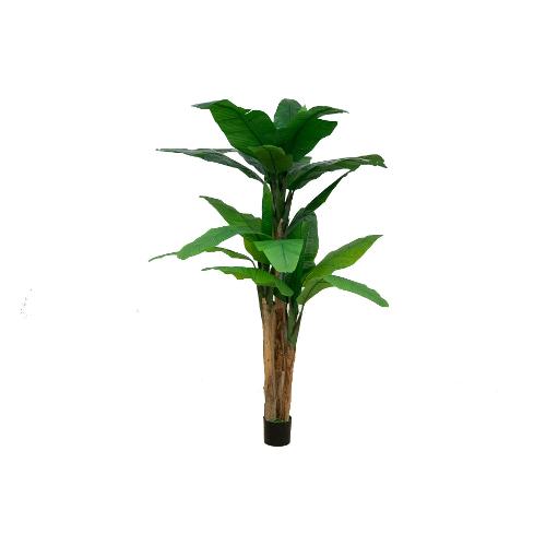 Dhg D.O.O. Pianta artificiale Banano green 88578 (200 cm)