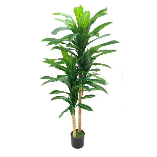Dhg D.O.O. Pianta artificiale Dracaena green 33445 (155 cm)
