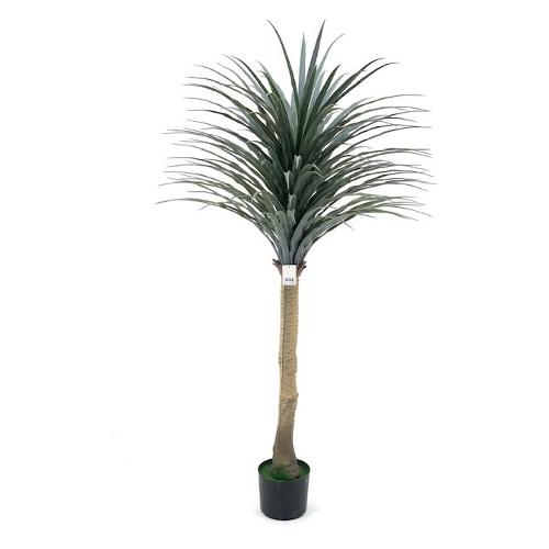 Dhg D.O.O. Pianta artificiale Dracaena grey green 33441 (150 cm)