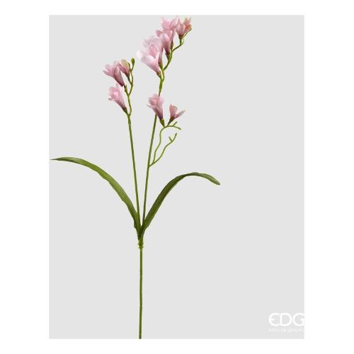 Edg Stelo Fresia rosy 2100181A330