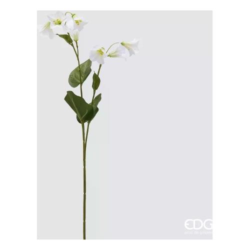 Edg Stelo Campanula white (61cm) 2100178A100