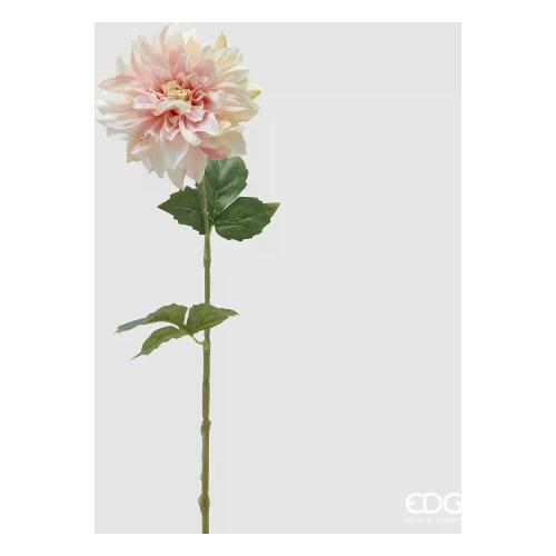 Edg Stelo Dalia pink cream 2100227A554