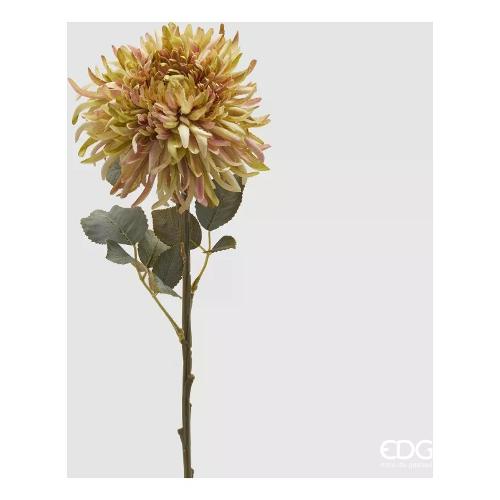 Edg Stelo Crisantemo green 2100273A775