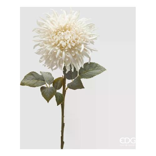 Edg Stelo Crisantemo ivory 2100273A110