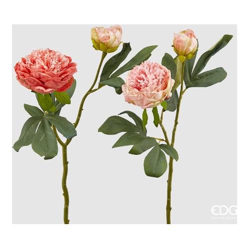 Edg Stelo Peonia dry pink assortito 215495 550