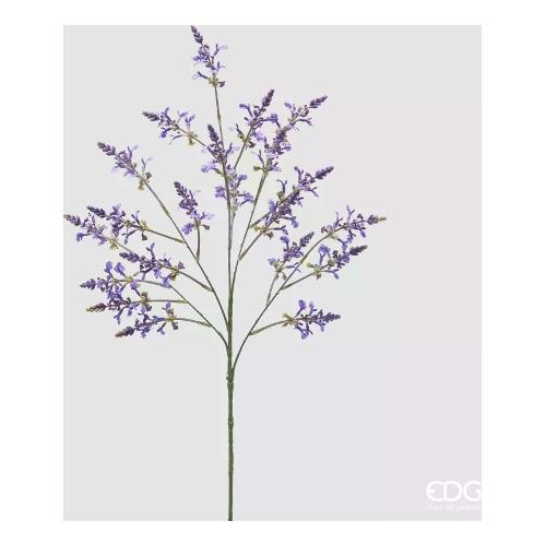 Edg Stelo Lavanda lavander 2100169A661