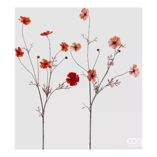 Edg Stelo Cosmos orange assortito 2100190A399
