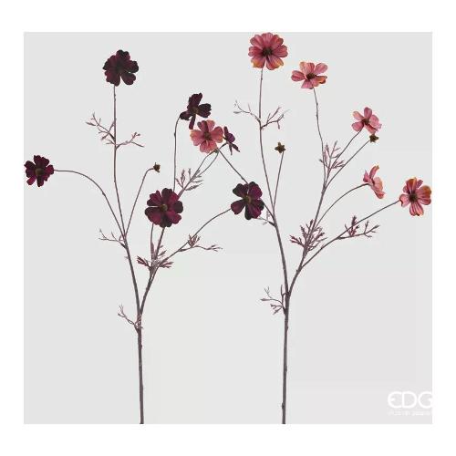Edg Stelo Cosmos violet mix (77cm) assortito 2100190A699