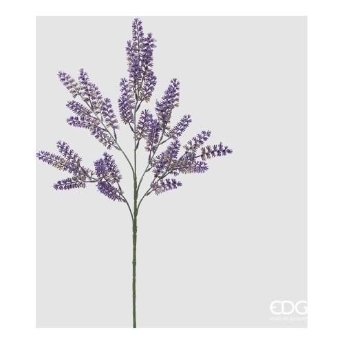 Edg Stelo Lavanda 2100170A661