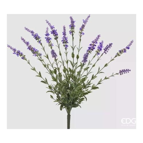 Edg Mazzetto Salvia Lavnada 2100171A661