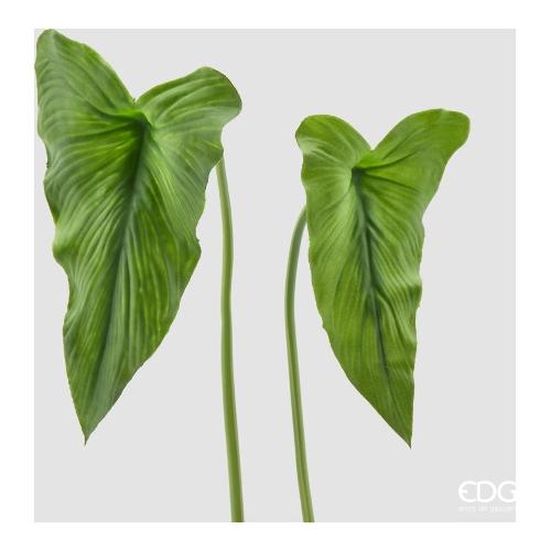 Edg Stelo Foglia calla green 236065 700