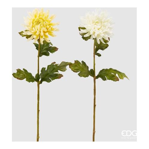 Edg Stelo Crisantemo ivory 218977 12