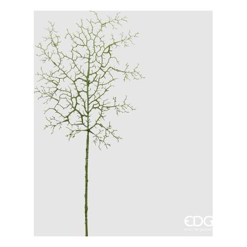 Edg Stelo Corallo sage 232186 88
