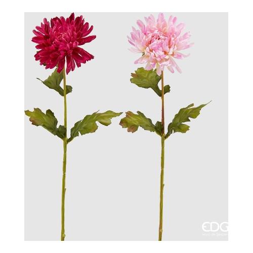 Edg Stelo Crisantemo pink 218977 55