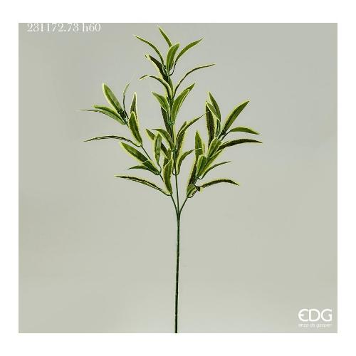 Edg Stelo Foglia falangio verde 231172 730