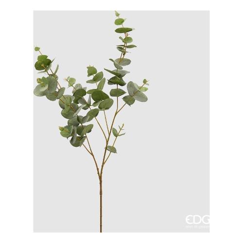 Edg Stelo Foglia eucalipto green 232755 700