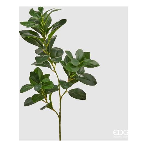 Edg Stelo Foglia poittosf. Green 232484 700