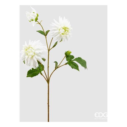 Edg Stelo Dalia rex s ivory 215747 120