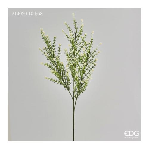 Edg Stelo Gypsophila lamiacea bia. 214020 100