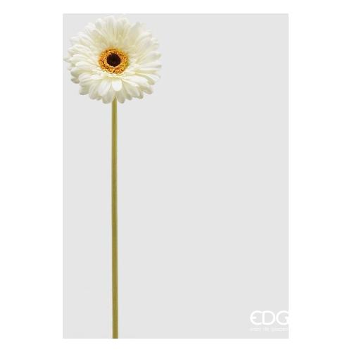 Edg Stelo Gerbera rex ivory 213085 120