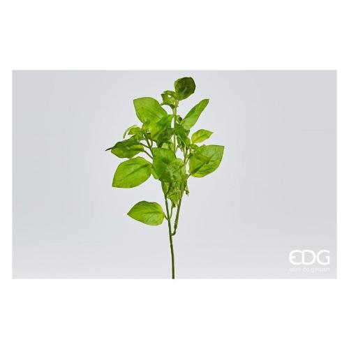 Edg Stelo Basilico green (22cm) 231656 71