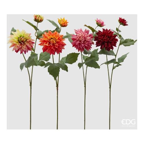 Edg Stelo Dalia a assortito 216143 950