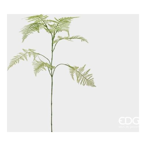 Edg Stelo Asparagus green 232919 700