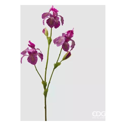 Edg Stelo Giaggiolo magenta 2100016A667