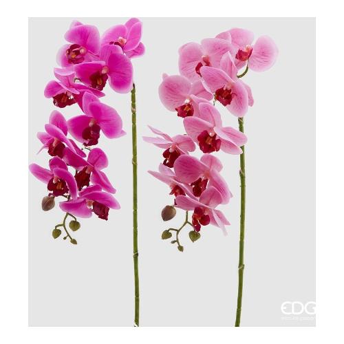 Edg Stelo Orchidea fuxia 213253 590