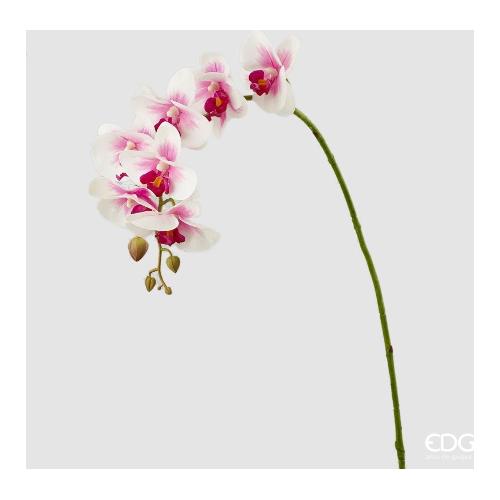 Edg Stelo Orchidea white fuxia 213253 160