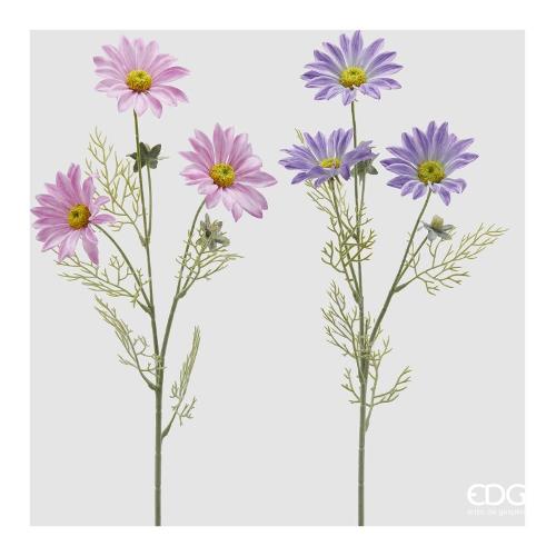 Edg Stelo Margherita lavander 2100115A661