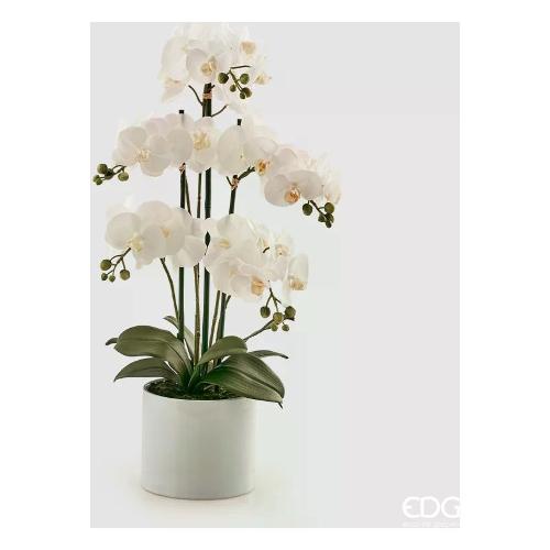 Edg Pianta artificiale Vaso orchidea 5 steli beauty 214268 57
