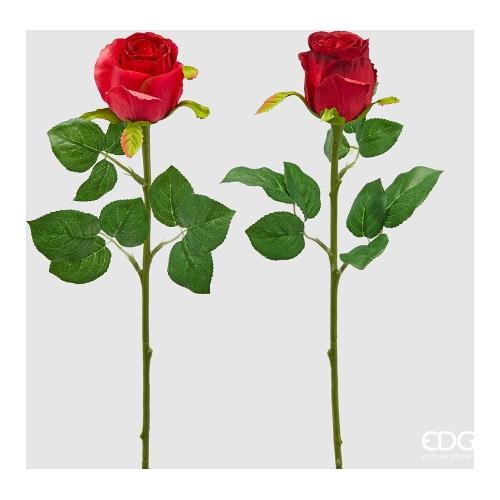 Edg Stelo Rosa bocc. Red (51cm) assortito 215250 400