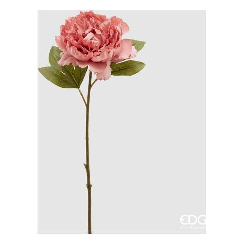 Edg Stelo Peonia a ant.Pink 215333 530
